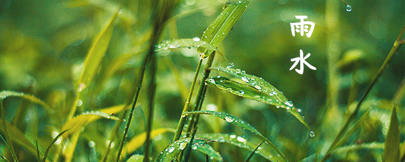 雨水节气的寓意和象征,二十四节气9.jpg,第1张