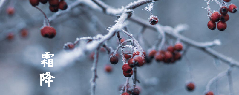 大雪节气不冷意味着什么,二十四节气12.jpg,第1张